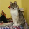 Отзыв от Альфия Харитонова